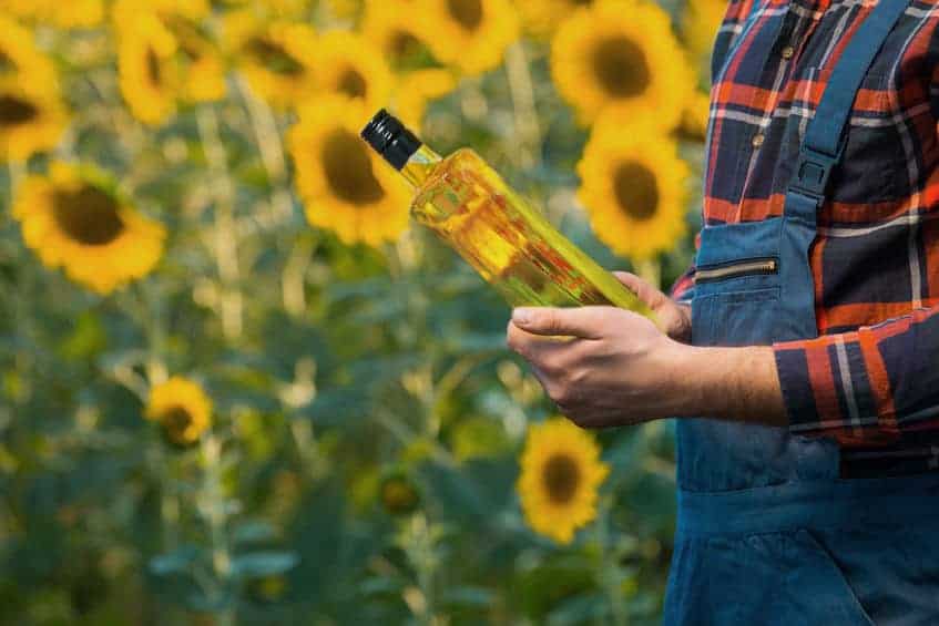 Bottle of oil held by farmer in sunflower field