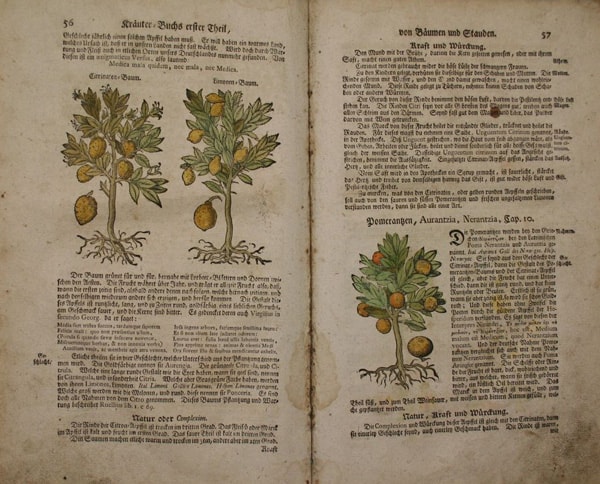Old book of ancient recipes